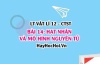 Cấu tạo hạt nhât nguyên tử? Thí nghiện tán xạ hạt alpha, mô hình đơn giản nguyên tử? Vật lí 12 bài 14 CTST